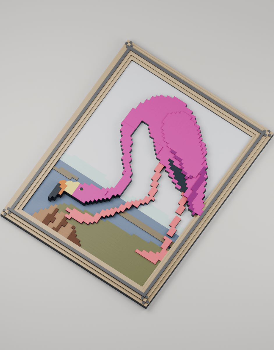 The American Flamingo, angled view