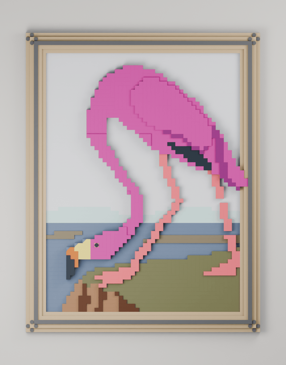 The American Flamingo, front view
