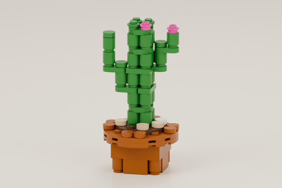 Tiny Cactus, front view