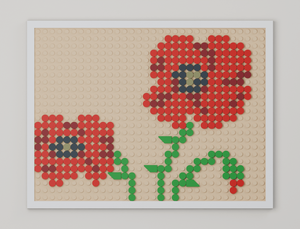 Red Poppies, front view