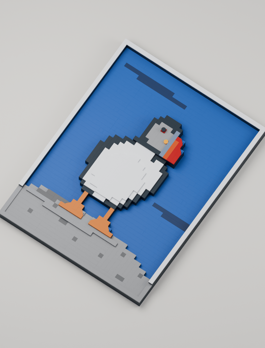 Atlantic Puffin, angled view