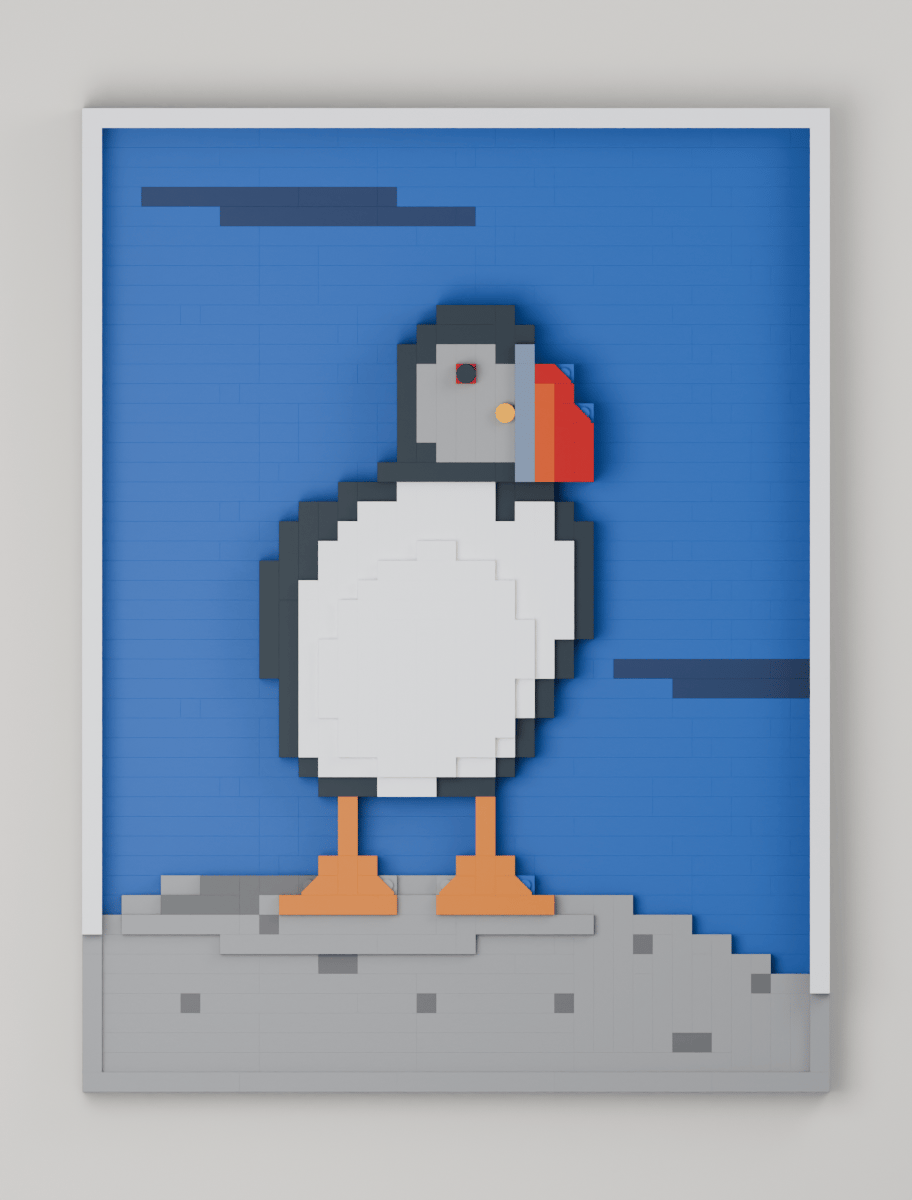 Atlantic Puffin, front view
