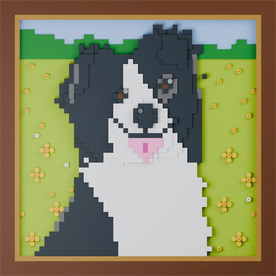 Framed brick portrait of a smiling black and white border collie in a buttercup meadow